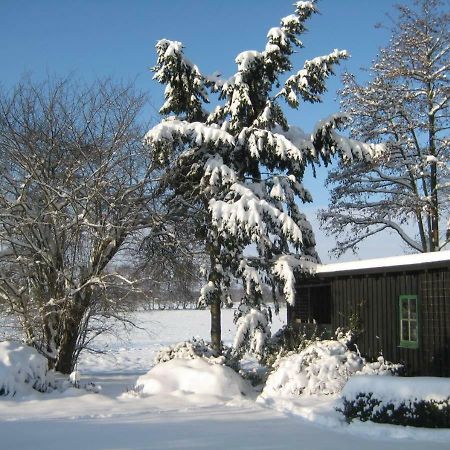 فيلا Ferienhaus Uchte / Darlaten المظهر الخارجي الصورة